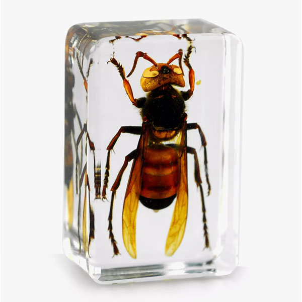 水晶膠和UV膠的區別：選對材料，才能做出理想效果